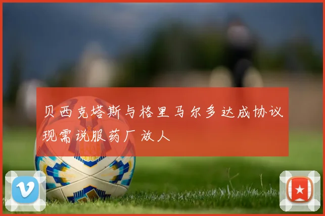 贝西克塔斯与格里马尔多达成协议现需说服药厂放人